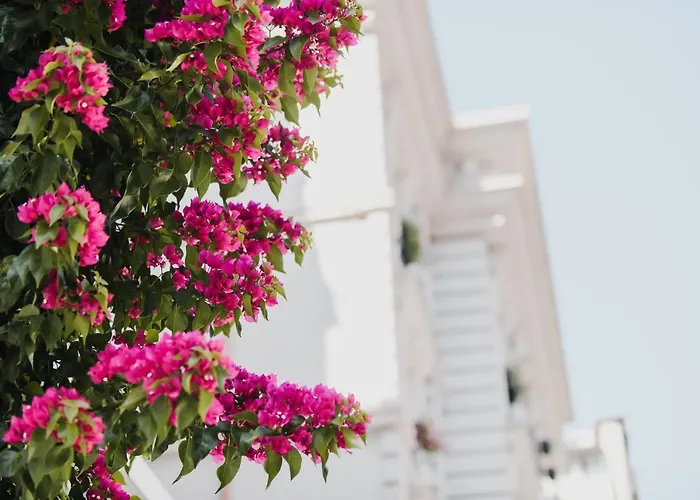 Lot Boutique By s&PréférenceAlbergo